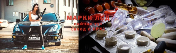 СК Новозыбков