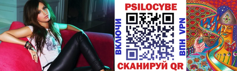Псилоцибиновые грибы Psilocybine cubensis площадка клад Шарья